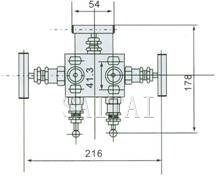 Structure of 1151 5-Valve Manifolds pic 2
