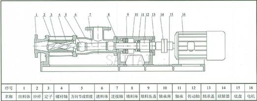 G型單螺桿泵結構