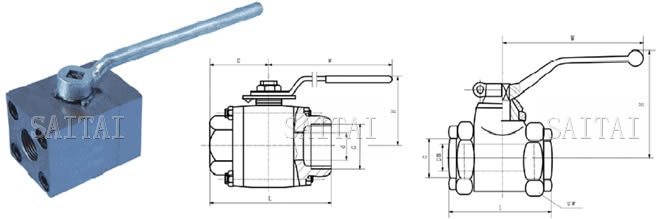 高壓內(nèi)螺紋球閥 Q11N-100/320 C/P/R