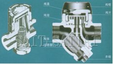Y型式/北京式(圓盤式)熱動力蒸汽疏水閥總裝圖